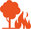 Incêndio Florestal
